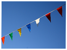 Picture of Multi-Color-Pennant Flags